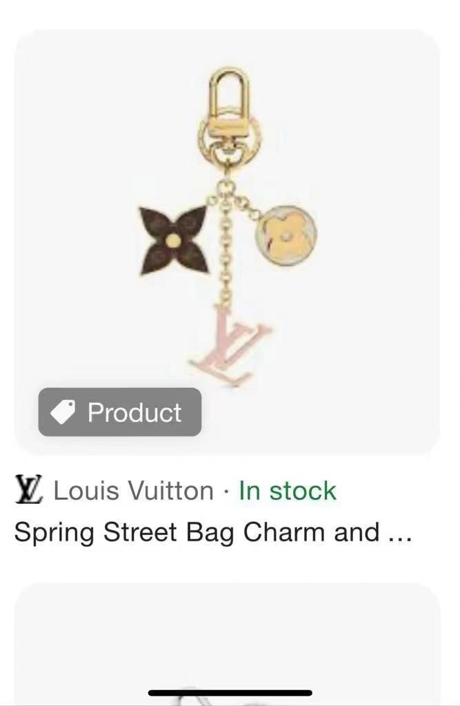 Louis Vuitton Keychains Sustainable 267037