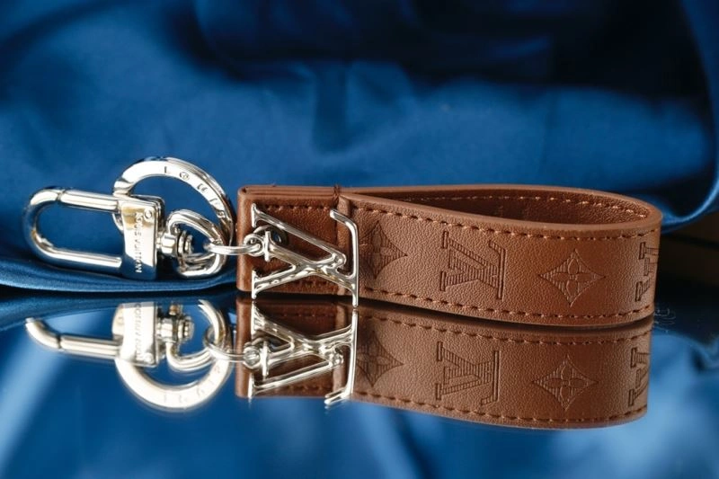 EyeCatching Louis Vuitton Keychains 267019