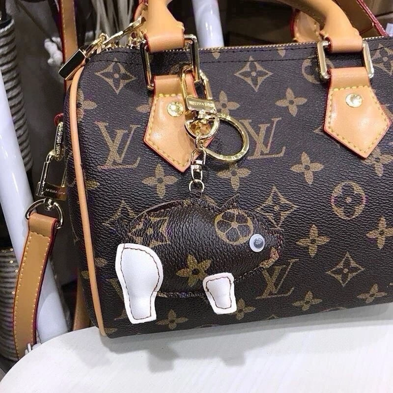 Louis Vuitton Keychains DailyWear 266711