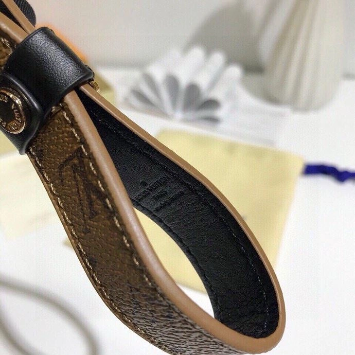 Louis Vuitton Keychains Bright 265542