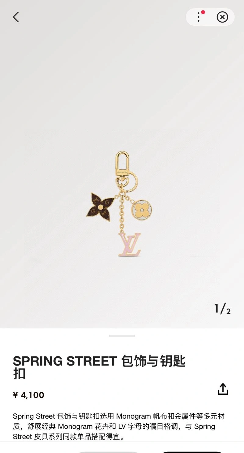 DailyWear Louis Vuitton Keychains 265413