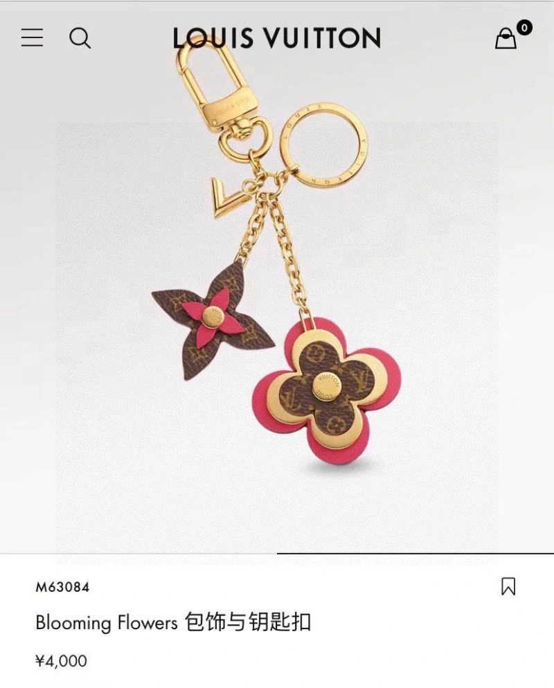 Louis Vuitton Keychains Attractive 265367