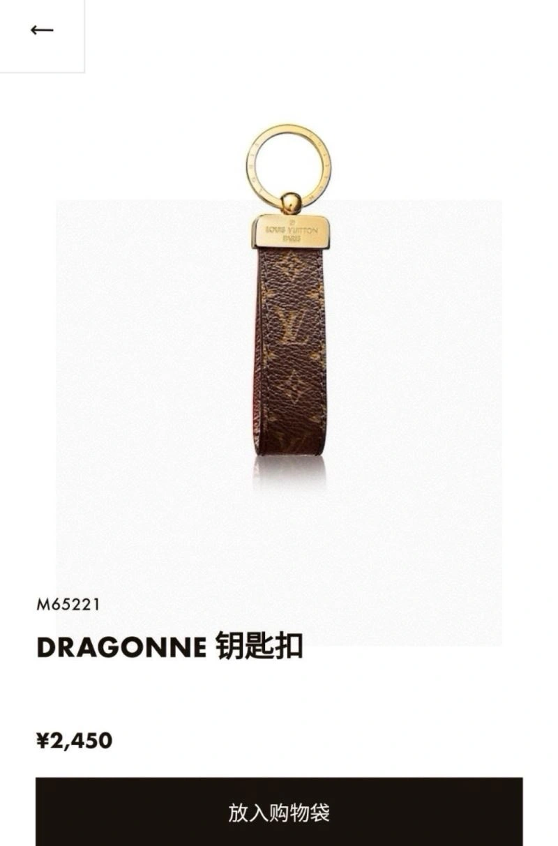 FastDry Louis Vuitton Keychains 265271
