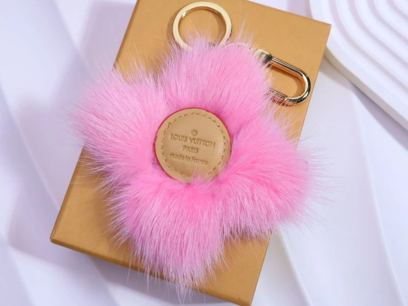 GoAnywhere Louis Vuitton Keychains 265165