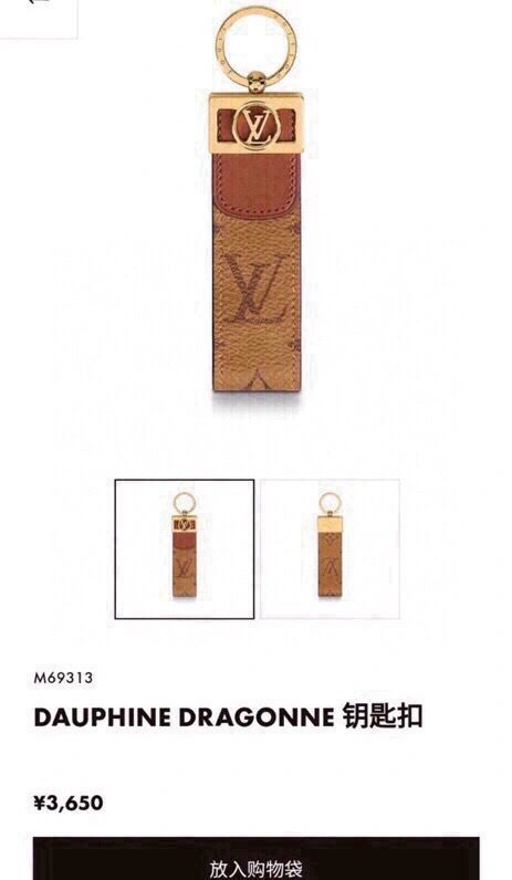 Louis Vuitton Keychains Snug 265154