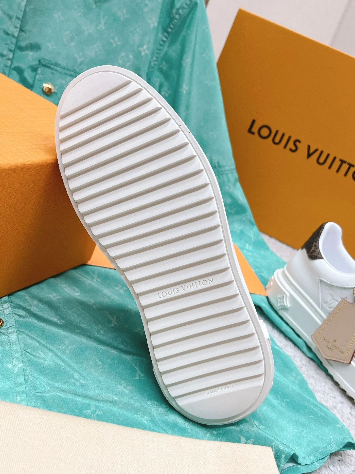 Thermal Louis Vuitton Low Shoes 31621