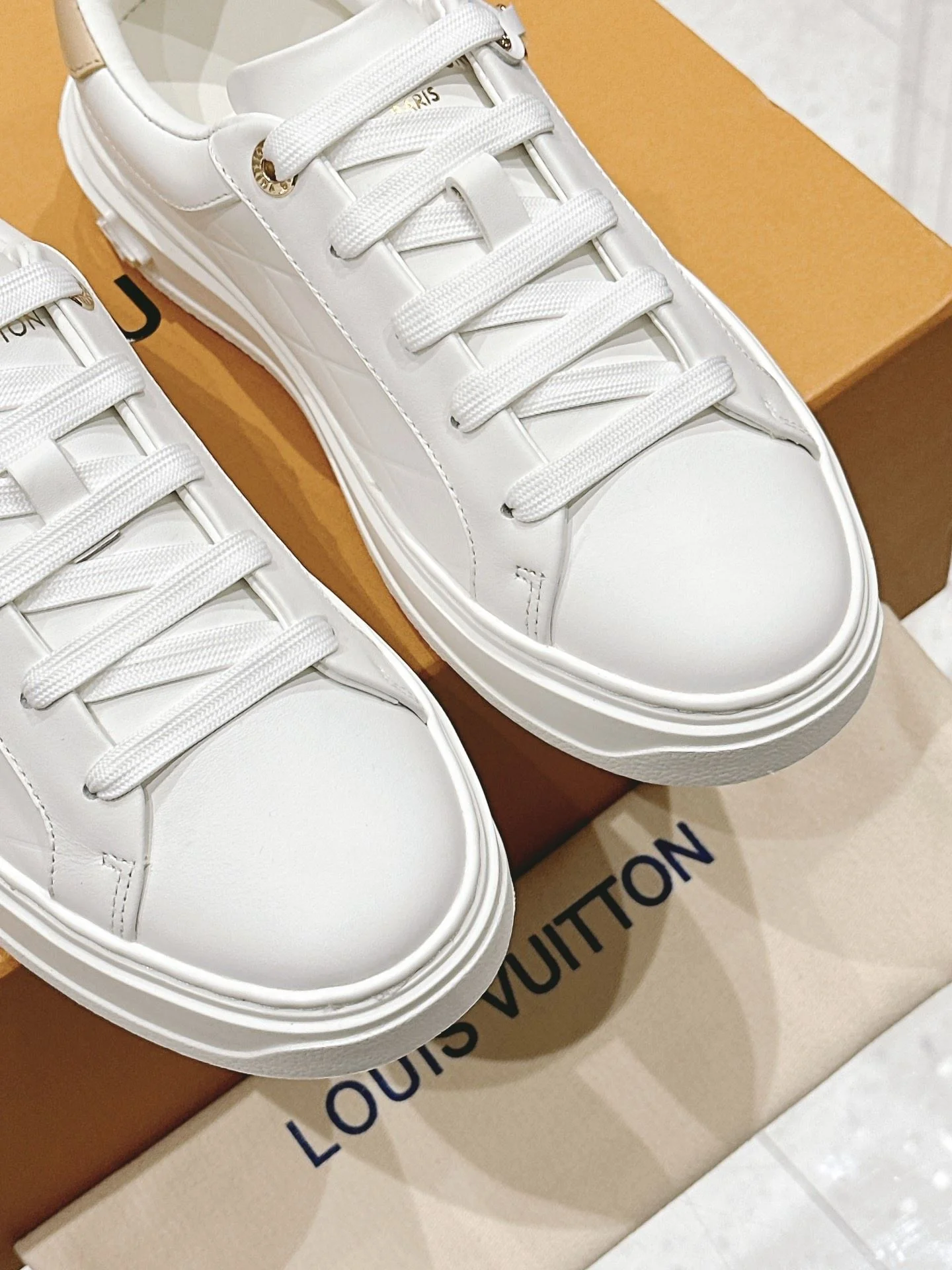 GoAnywhere Louis Vuitton Low Shoes 31633