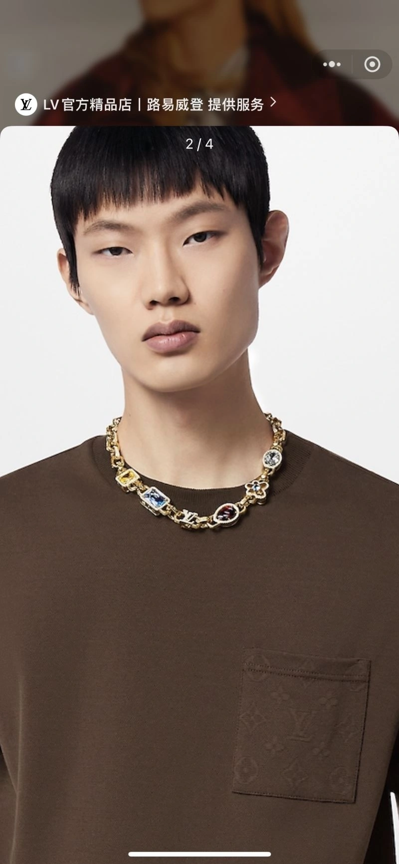 Louis Vuitton Necklaces Durable 251200
