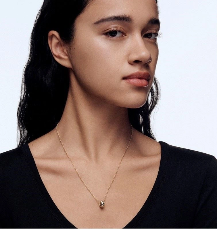 TravelReady Louis Vuitton Necklaces 248858