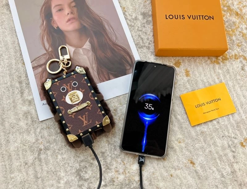 Louis Vuitton Ornaments HighQuality 269863