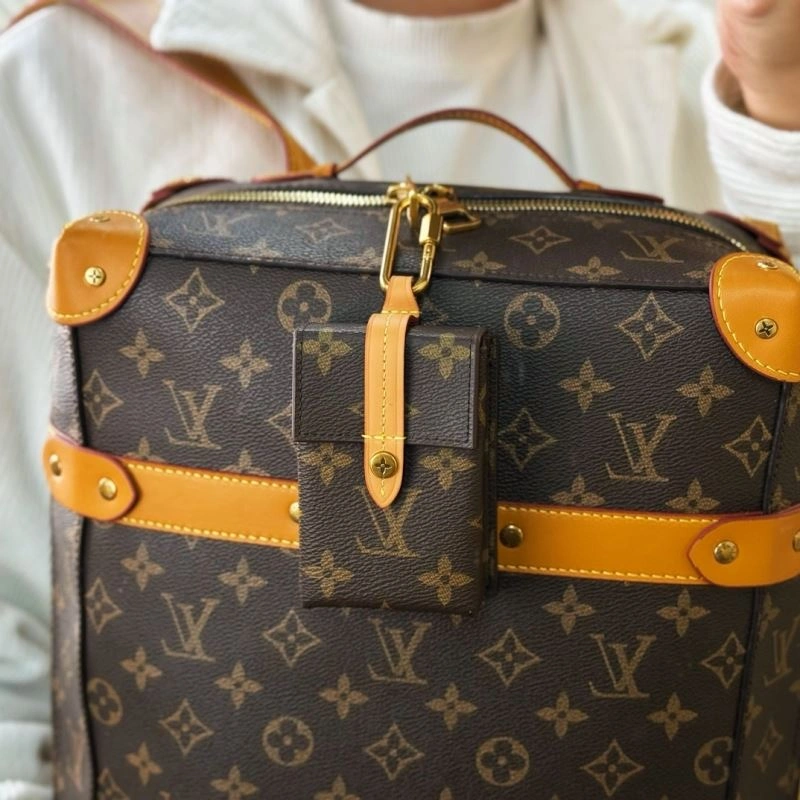 Louis Vuitton Ornaments QuickDry 269948