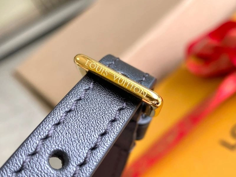 Louis Vuitton Satchel Bags GoAnywhere 93937