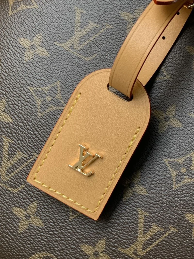Louis Vuitton Satchel Bags EasyCare 43302