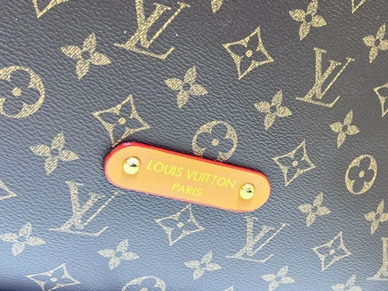 Seasonal Louis Vuitton Satchel Bags 80246