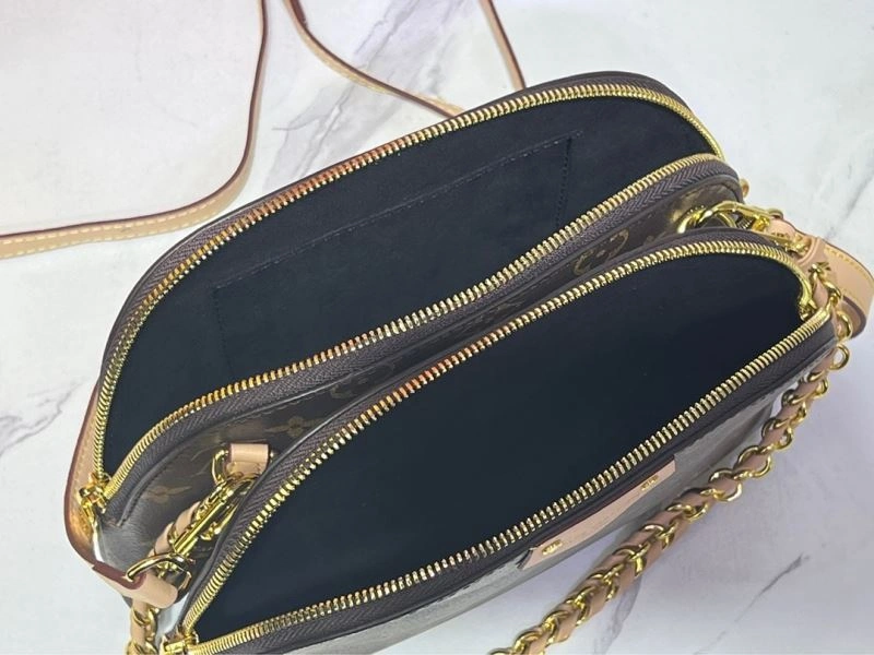 WrinkleFree Louis Vuitton Satchel Bags 80233