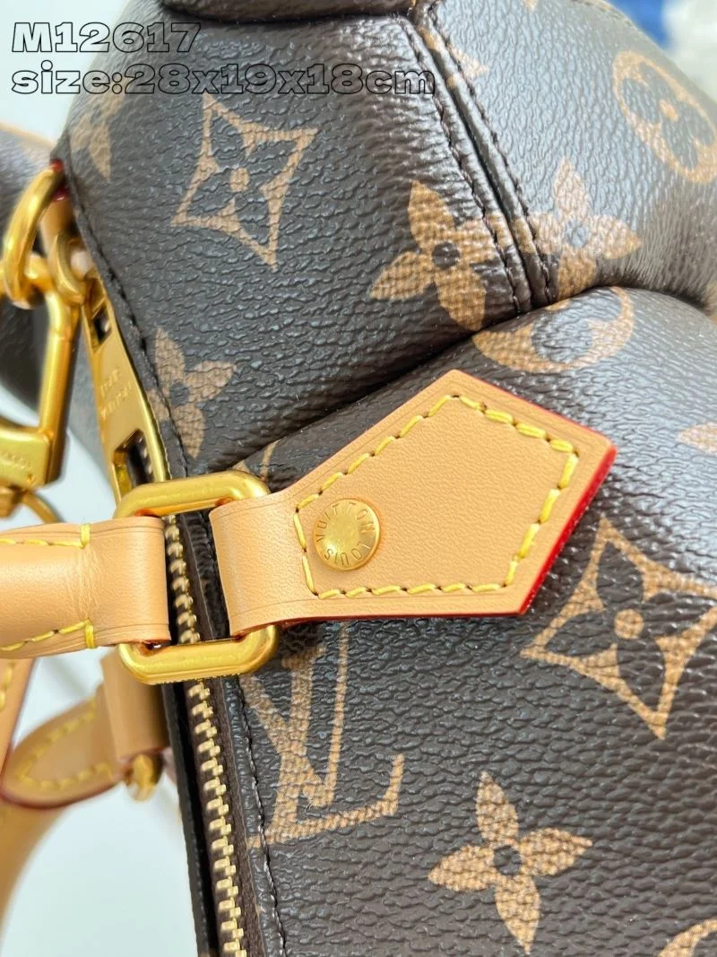 Neat Louis Vuitton Satchel Bags 41185