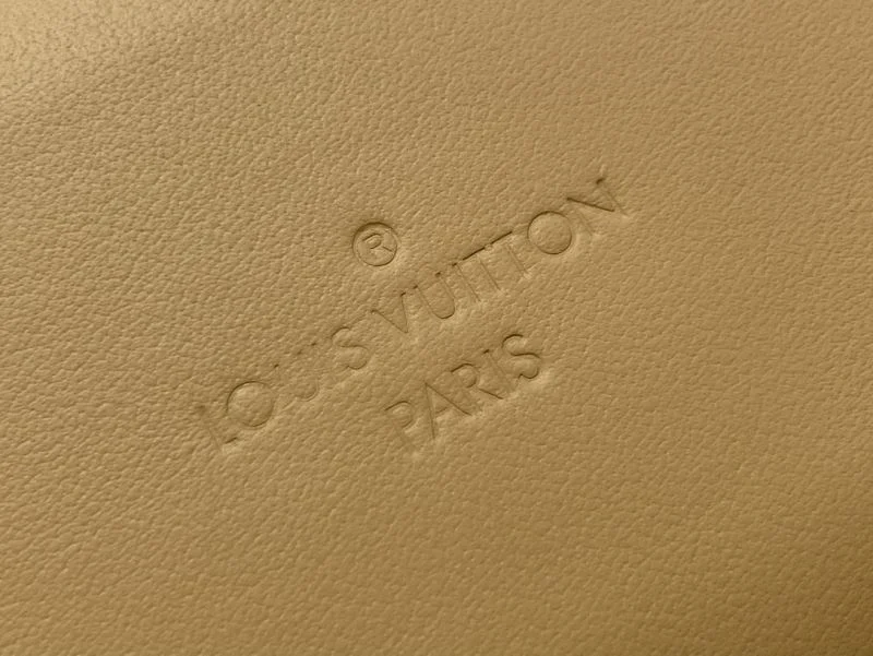 Louis Vuitton Satchel Bags Sporty 40462