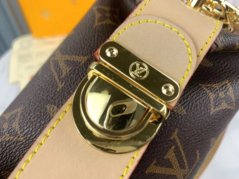 Seasonal Louis Vuitton Satchel Bags 79567