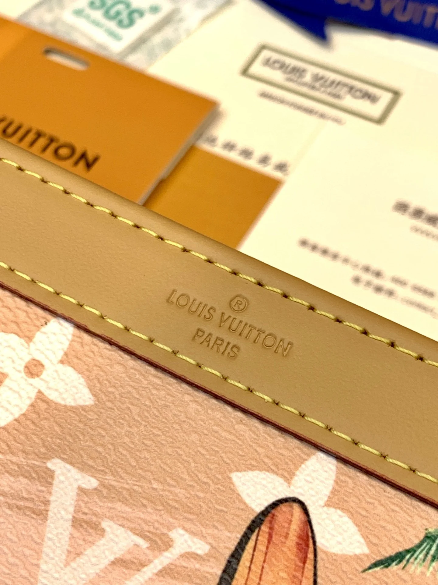 Louis Vuitton Satchel Bags Resilient 56222