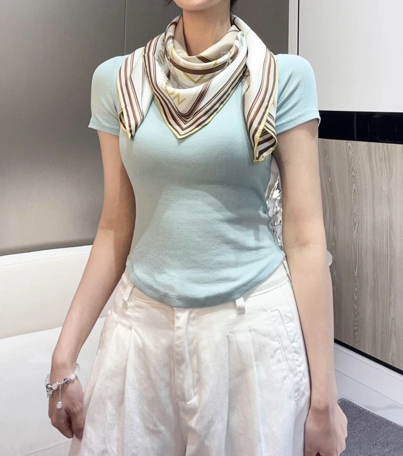 Louis Vuitton Scarf SmoothTexture 271403