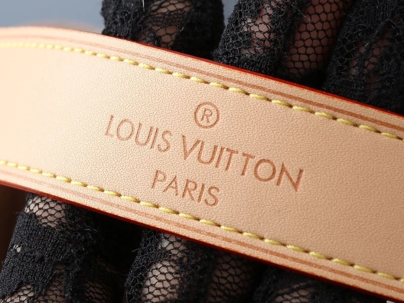 FastDry Louis Vuitton Shopping Bags 88543