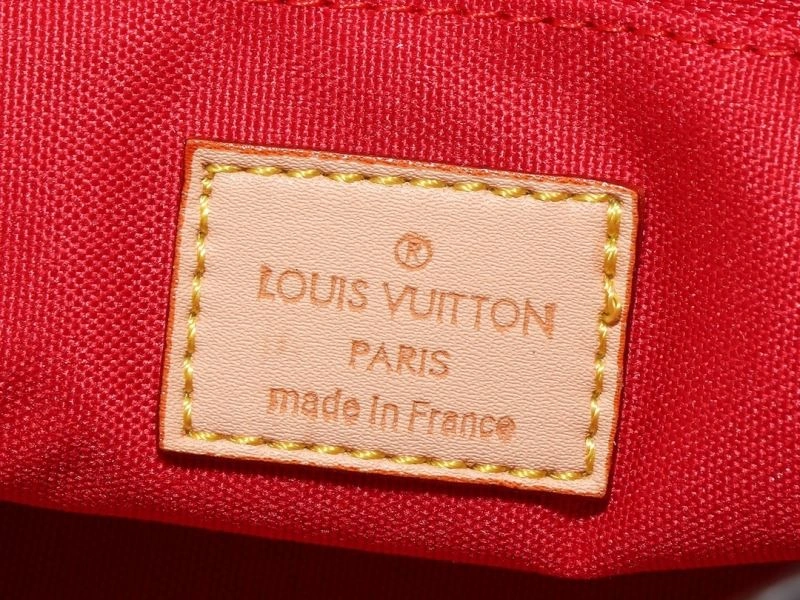 WeatherProof Louis Vuitton Shopping Bags 88523