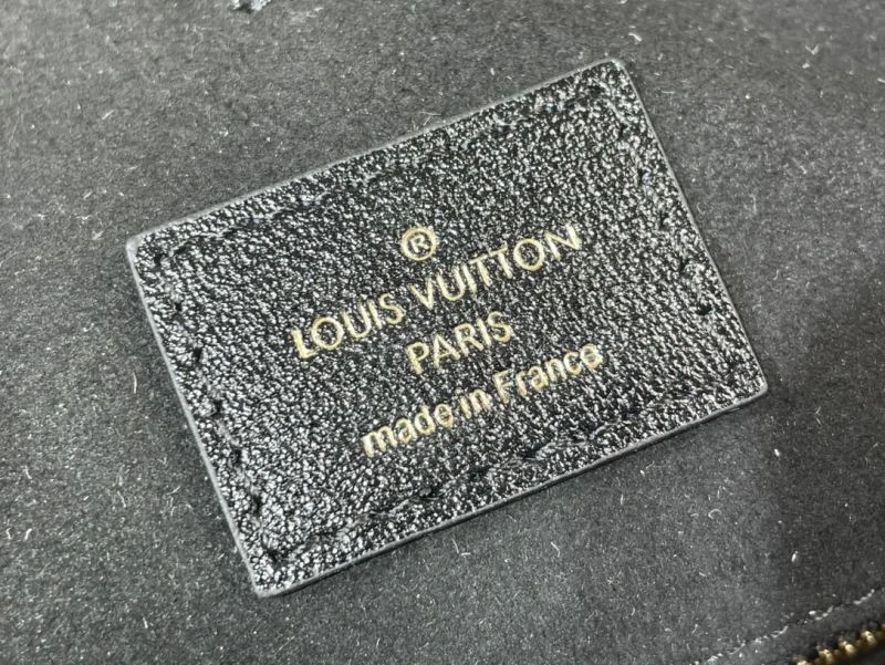 Louis Vuitton Shopping Bags EasyCare 41121