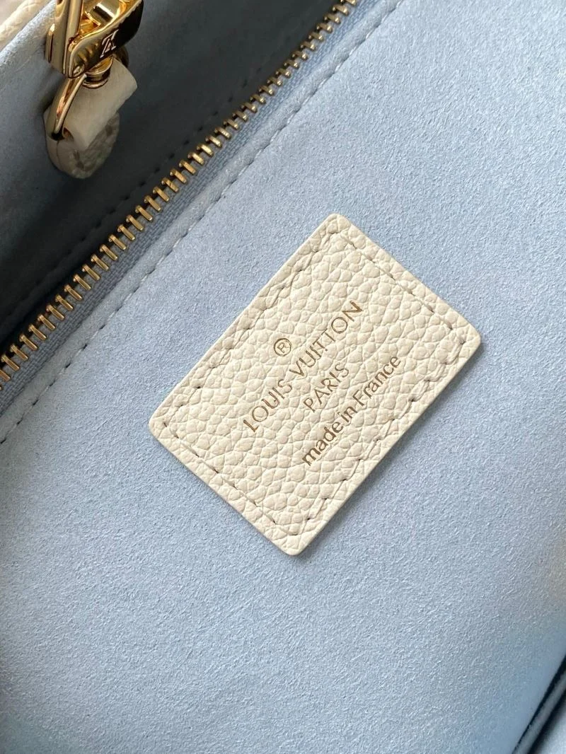 MultiPurpose Louis Vuitton Shopping Bags 39507