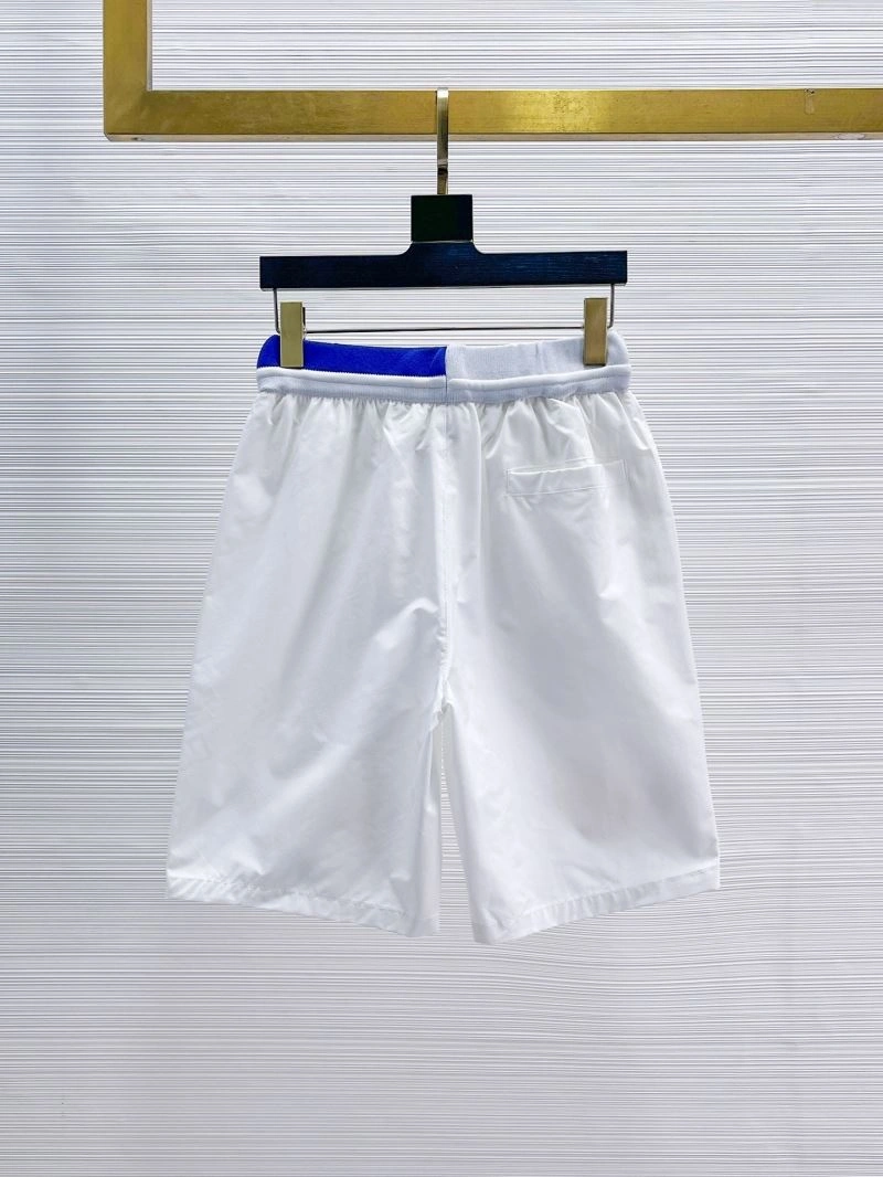 Louis Vuitton Short Pants Functional 137410