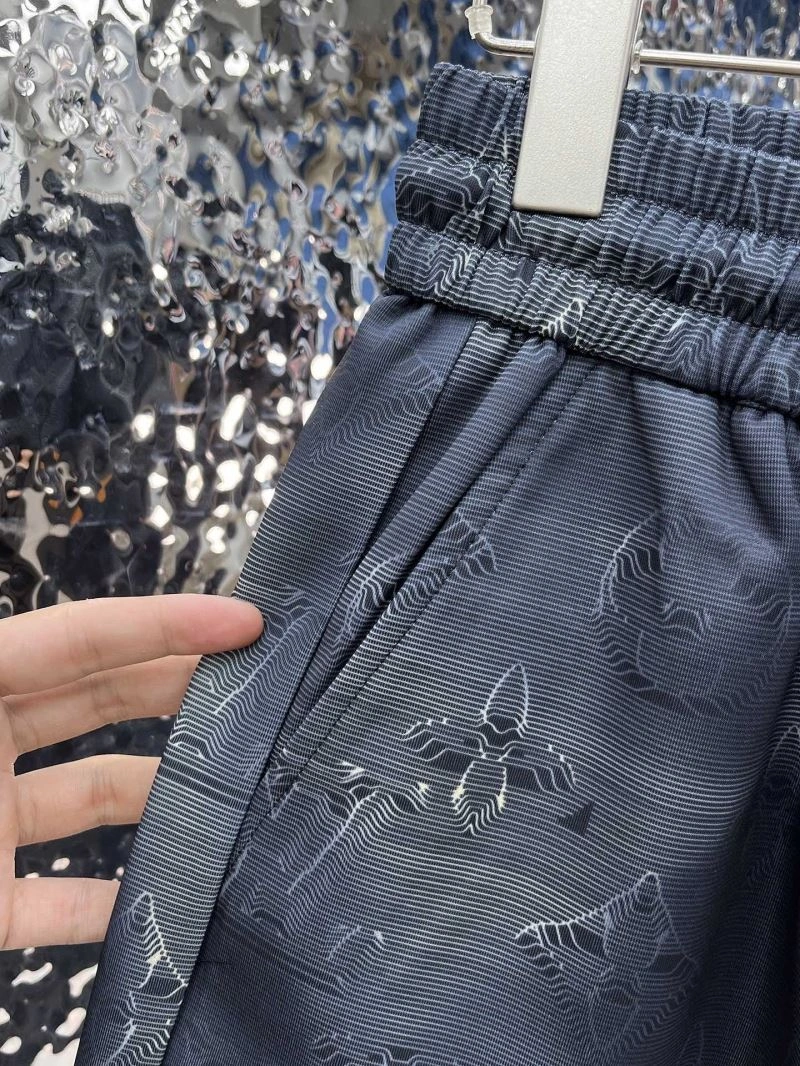 Louis Vuitton Short Pants GoodFit 136453
