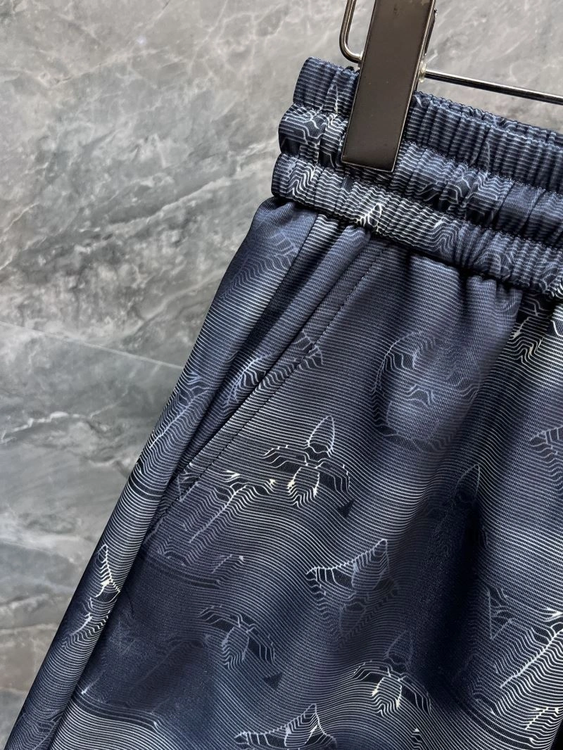 Louis Vuitton Short Pants Trendsetting 136433