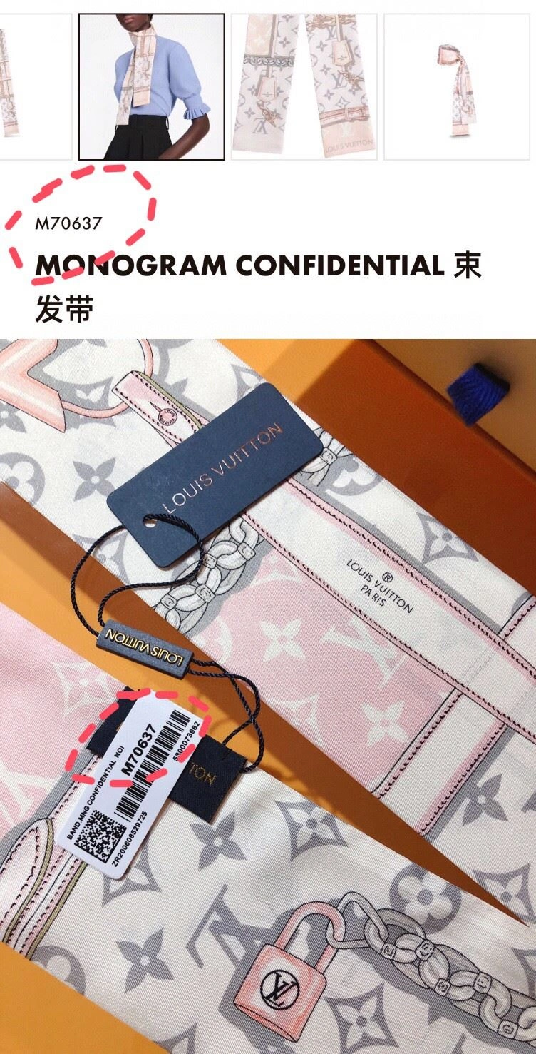 Louis Vuitton Silk Functional 272595