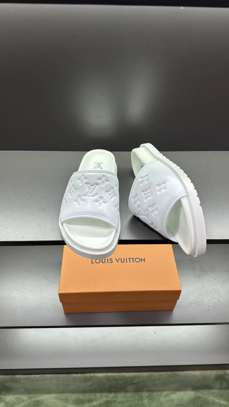 GoAnywhere Louis Vuitton Slippers 30492
