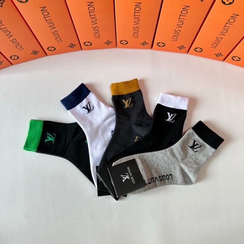 GoAnywhere Louis Vuitton Socks 273553