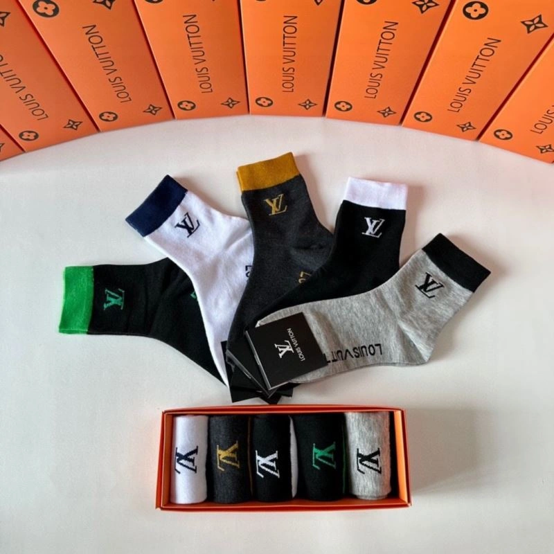 GoAnywhere Louis Vuitton Socks 273553