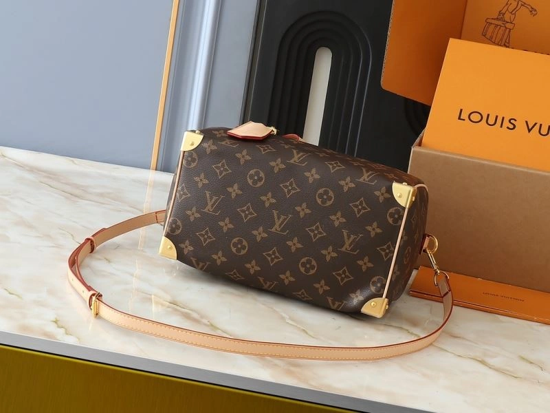 Popular Louis Vuitton Speedy Bags 80348