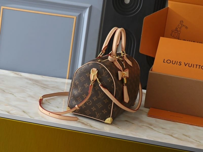Unique Louis Vuitton Speedy Bags 80365
