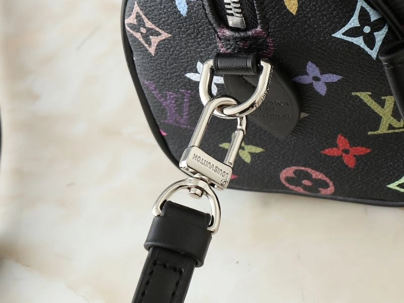 Louis Vuitton Speedy Bags Seasonal 80342