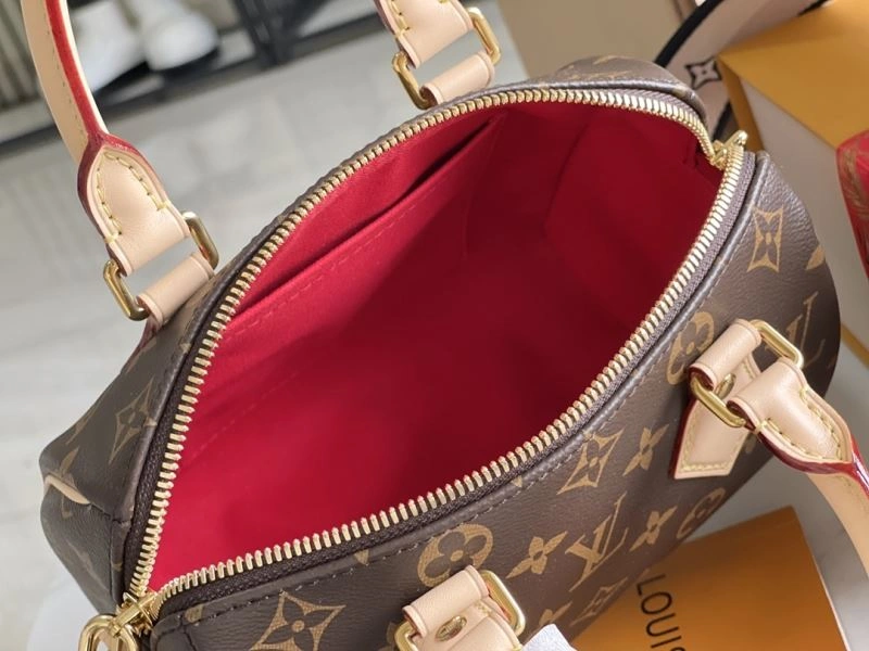 WellDesigned Louis Vuitton Speedy Bags 93918