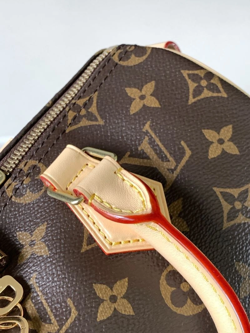 Louis Vuitton Speedy Bags SmoothTexture 93714