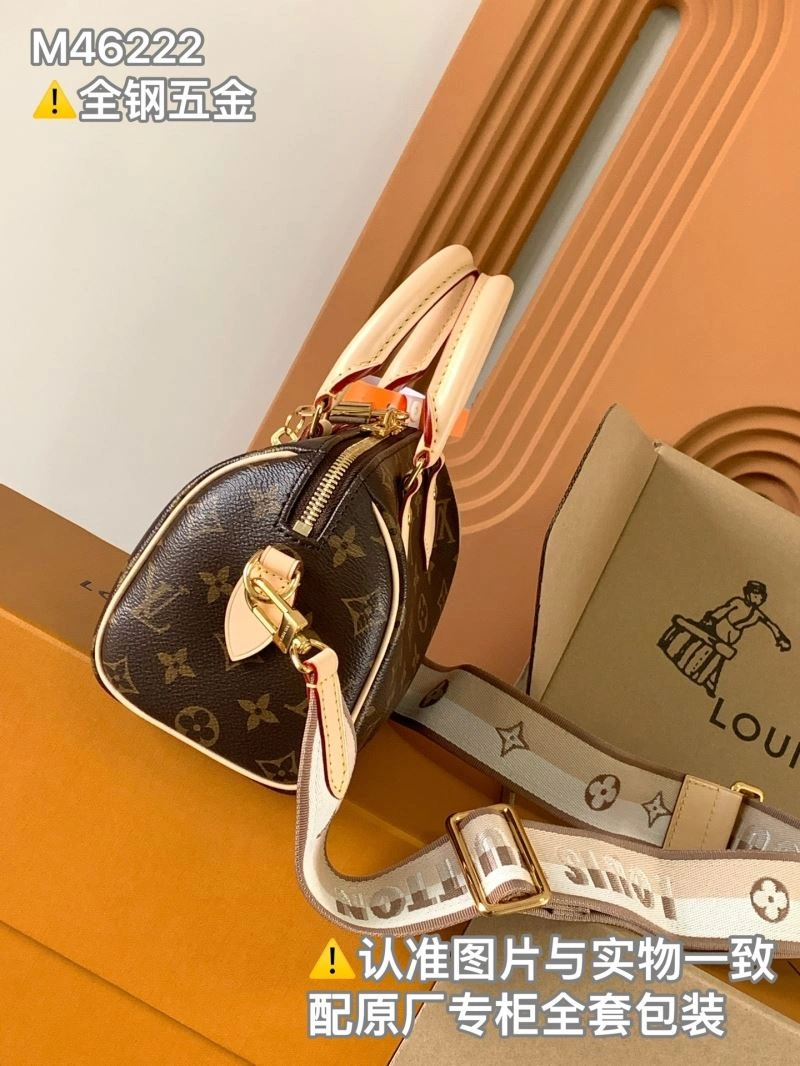 GoAnywhere Louis Vuitton Speedy Bags 93710