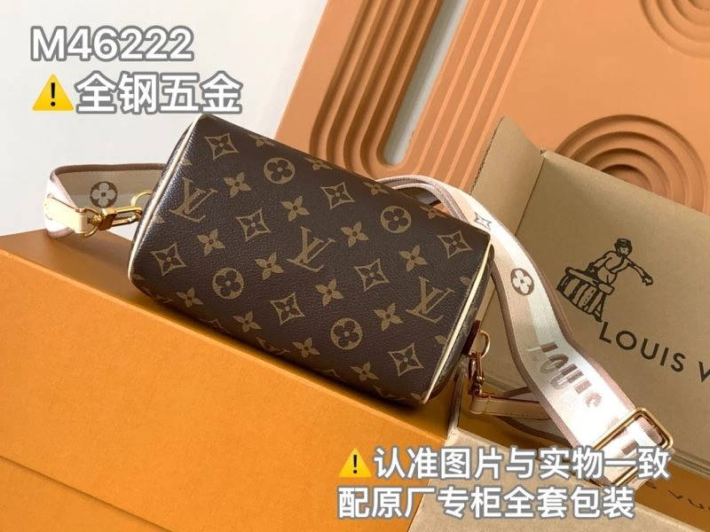 GoAnywhere Louis Vuitton Speedy Bags 93710
