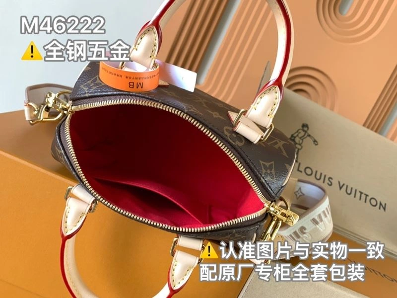 GoAnywhere Louis Vuitton Speedy Bags 93710