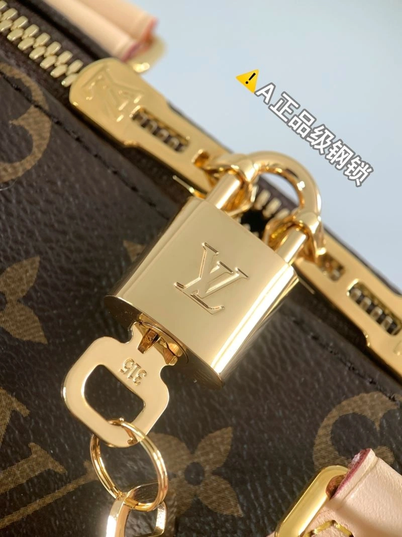 GoAnywhere Louis Vuitton Speedy Bags 93710
