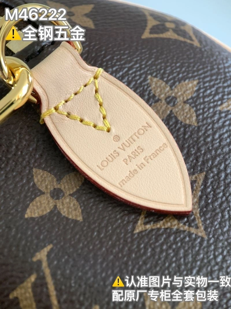 GoAnywhere Louis Vuitton Speedy Bags 93710