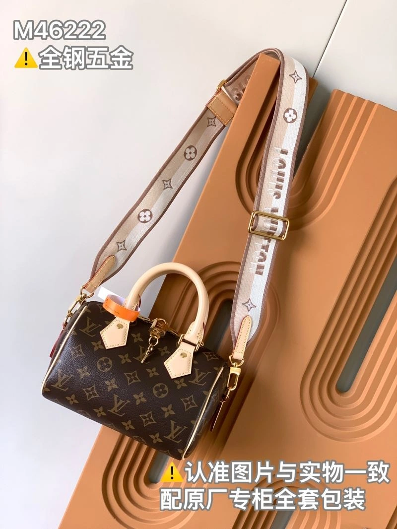 GoAnywhere Louis Vuitton Speedy Bags 93710