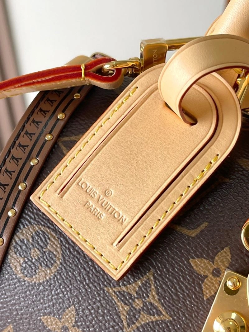 Louis Vuitton Speedy Bags Bright 93447