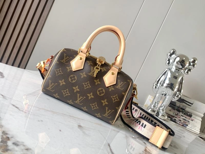 Louis Vuitton Speedy Bags WrinkleFree 93432