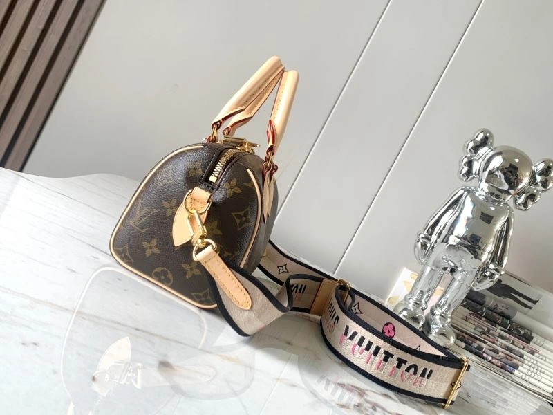 Louis Vuitton Speedy Bags WrinkleFree 93432