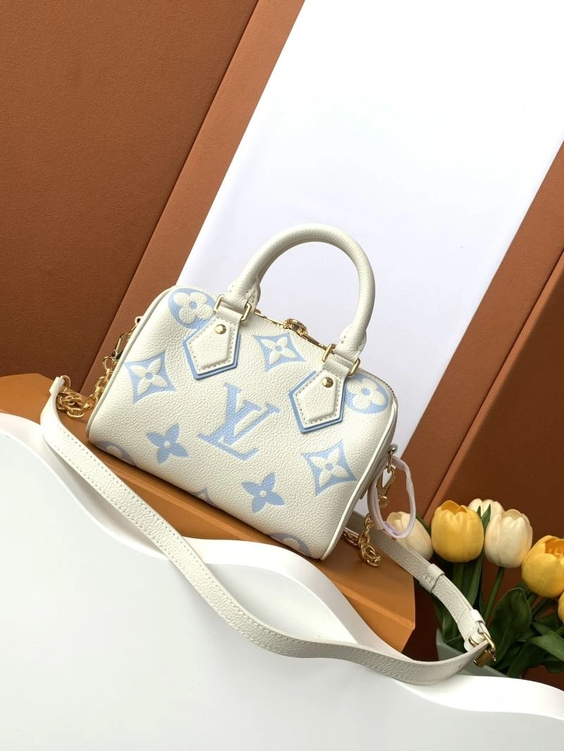EasyCare Louis Vuitton Speedy Bags 93426